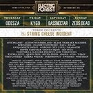 Electric Forest 2019.webp