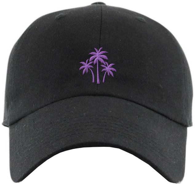 File:23-TM Web Endless-Summer Palm-Dad-Hat v2 Front.webp